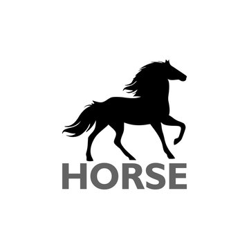    Running horse logo template isolated on white background 