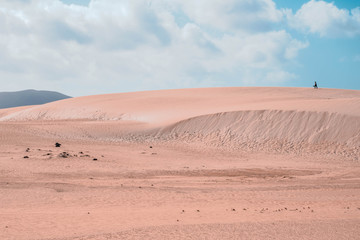 sand dunes in the desert