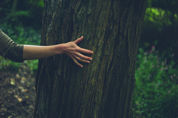 Hand of young woman touching a tree