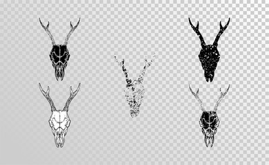 Vector set of hand drawn skulls roe deer with grunge elements in different versions on a transparent background. Monochrome.