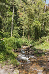 Small stream in Volcan Baru National Park Panama