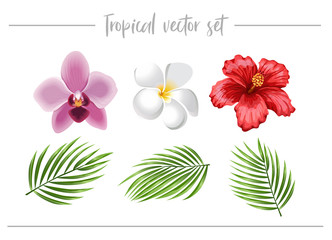 Tropical set. Tropic Flowers and Palm leaves collection. Hibiscus, Orchid, Frangipani Plumeria flowers isolated on white background.