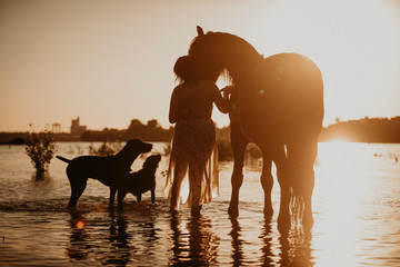 Reiterin mit Pferd und Hunden