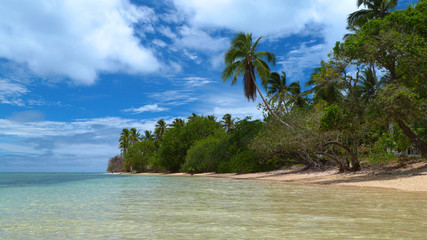 Exotic coral island with calm sea and coconut palm trees, Tonga