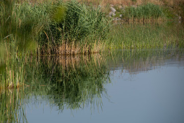 Obraz premium Lac de Padula - reflections in the lake. Corsica, France