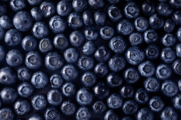 Background from freshly picked blueberries, healthy eating concept