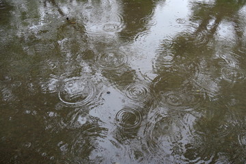 梅雨の雨降る公園の水たまり