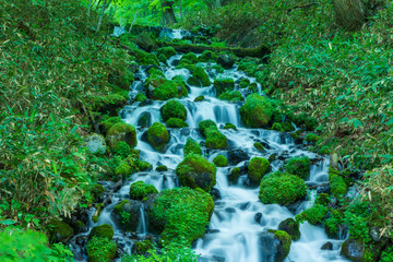 片品村大清水湿原の滝