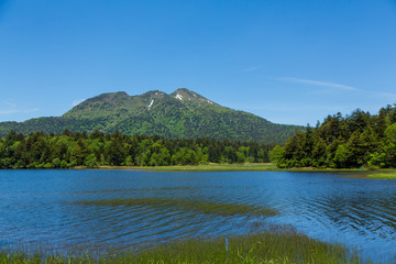 梅雨の晴れ間の尾瀬沼