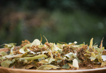Dried lime-blossoms for herbal tea