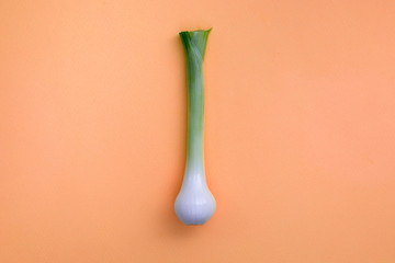 Bulb of fresh green onions on a colored orange background.  Minimalism.  Copy space.