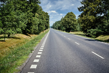 Fototapeta na wymiar asphalt road in the green forest in summer