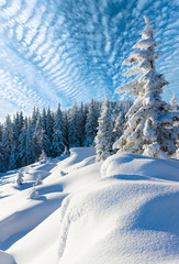 winter mountain landscape