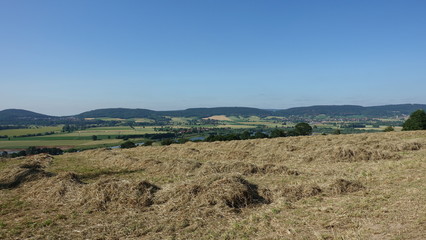Fototapeta premium Heuernte im Naturpark Weserbergland