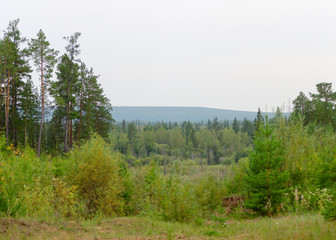 Fototapeta na wymiar Panorama of spruce forests of the wild Northern taiga of Yakutia in the afternoon with hills in the distance.