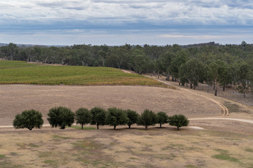 Fototapeta na wymiar Stunning view of a vineyard on a winery Tour in Victoria, Australia