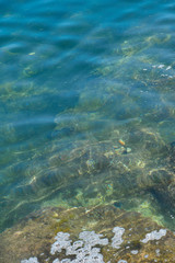 Fototapeta na wymiar Stone beach of mediterranian sea, sea coast. Natural background. 