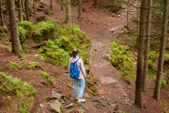 Back view of active traveller wandering between canopy of trees, choosing better path, searching for right way out, enjoying her holidays, spending her spare time with nature. Traveling concept.