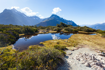Fototapeta na wymiar Top of the Key Summit Trail, Fiordland, South Island, New Zealand