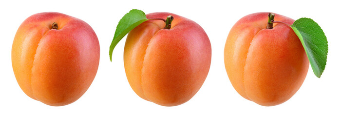 Apricot isolate. Apricots on white. Fresh apricot fruit. Set with clipping path.