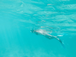Fototapeta premium Woman snokeling in the sea