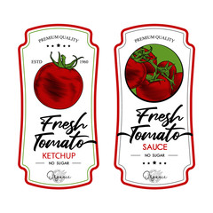 Tomato ketchup, sauce  badge label design set. Vector hand drawn illustration of tomatoes in engraving technique. Vintage templates for tomato sauce packaging. 