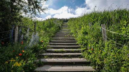 Fototapeta na wymiar Stair way through european countryside hill