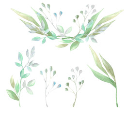 Set of wild herbs and one composition of leaves and branches