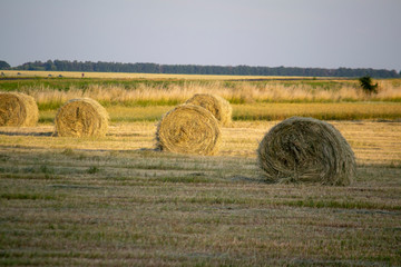 Harvesting of straw in the rural landscape