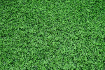 Obraz premium green artificial grass texture for background