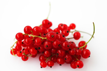 red currants on white background macro