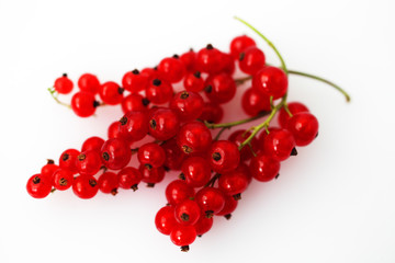 red currants on white background macro