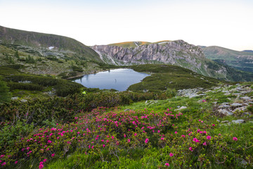 Wonderful Nature Landscape Panorama In The Nocky Mountains Of Carinthia Austria