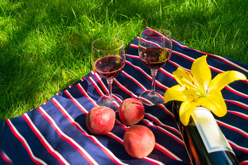 Two glasses of red wine, on a background of green grass. The concept of a romantic picnic in nature.