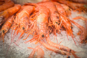fresh seafood within the fish market in Spain - octopus, shells, shrimps, fish, oysters, lobster 