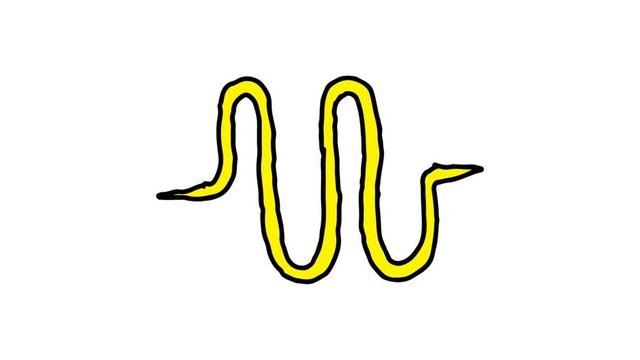 kids drawing white screen with theme of signal wave