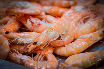 fresh seafood within the fish market in Spain - octopus, shells, shrimps, fish, oysters, lobster 