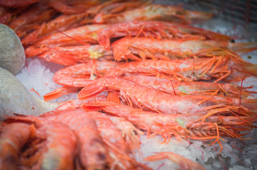 fresh seafood within the fish market in Spain - octopus, shells, shrimps, fish, oysters, lobster 