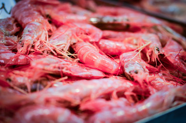 fresh seafood within the fish market in Spain - octopus, shells, shrimps, fish, oysters, lobster 