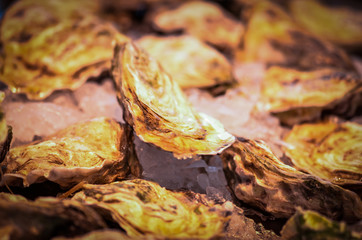 fresh seafood within the fish market in Spain - octopus, shells, shrimps, fish, oysters, lobster 
