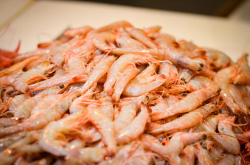 fresh seafood within the fish market in Spain - octopus, shells, shrimps, fish, oysters, lobster 