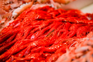 fresh seafood within the fish market in Spain - octopus, shells, shrimps, fish, oysters, lobster 