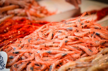 fresh seafood within the fish market in Spain - octopus, shells, shrimps, fish, oysters, lobster 