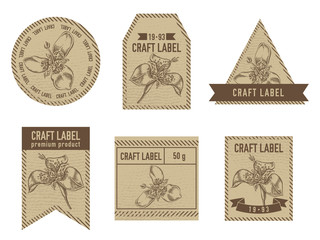 Craft labels with tigridia