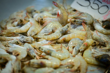 fresh seafood within the fish market in Spain - octopus, shells, shrimps, fish, oysters, lobster 