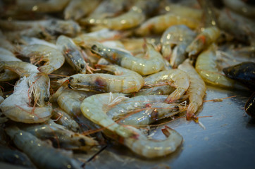 fresh seafood within the fish market in Spain - octopus, shells, shrimps, fish, oysters, lobster 