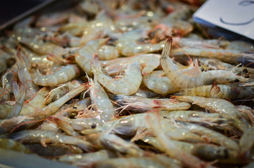 fresh seafood within the fish market in Spain - octopus, shells, shrimps, fish, oysters, lobster 