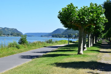 Rheinpromenade Bad Breisig