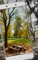 Autumn park with benches and table for picnic in smartphone's frame, demonstration of device capabilities