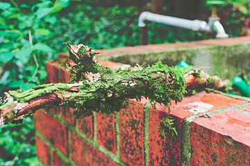 Cemetery in Germany Europe